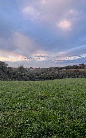 Terrain  LUCQ DE BEARN