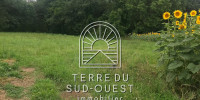 terrain à ESCOS (64270)