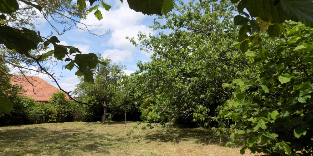 terrain à SALIES DE BEARN (64270)