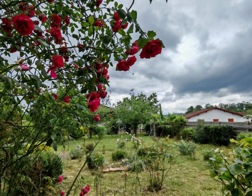 maison  ST JEAN PIED DE PORT