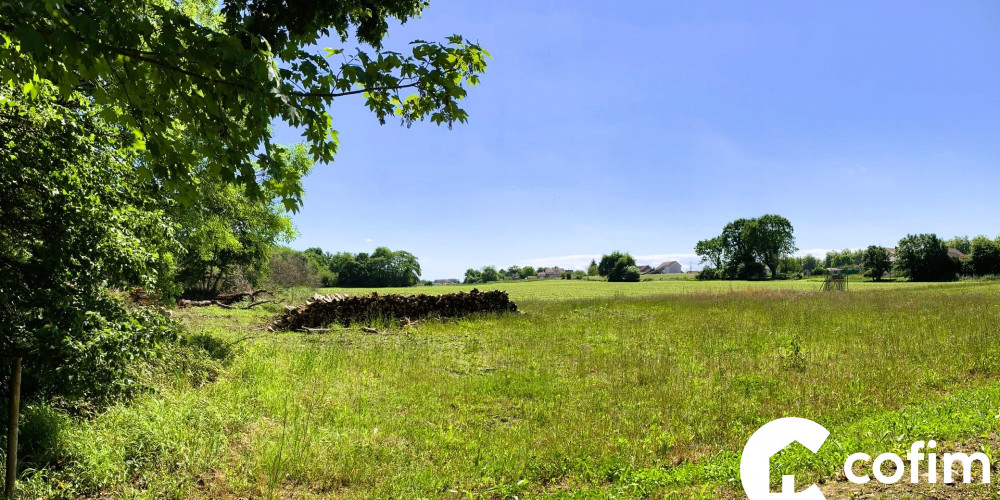terrain à CASTETIS (64300)