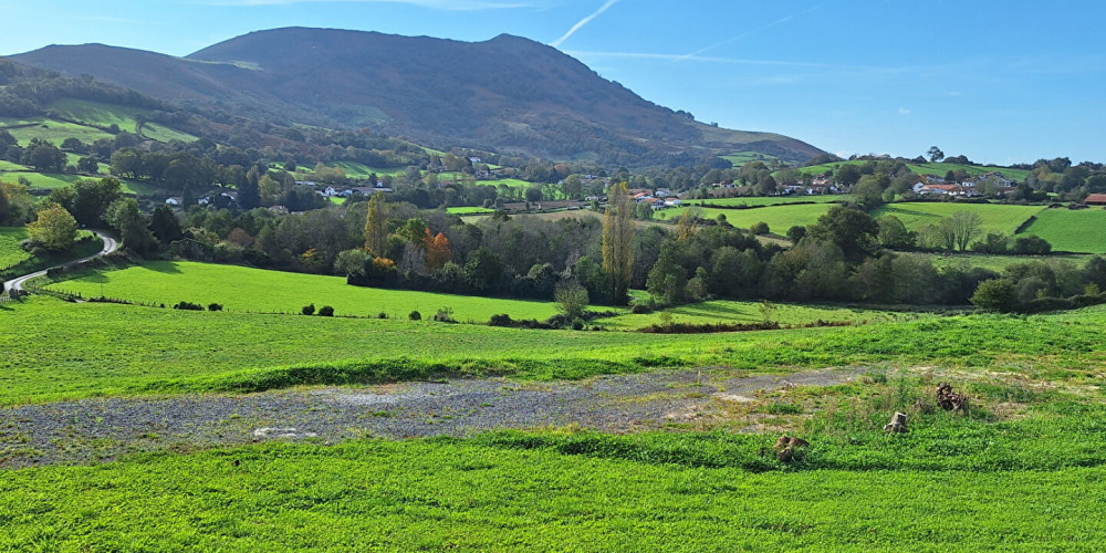 terrain à HELETTE (64640)