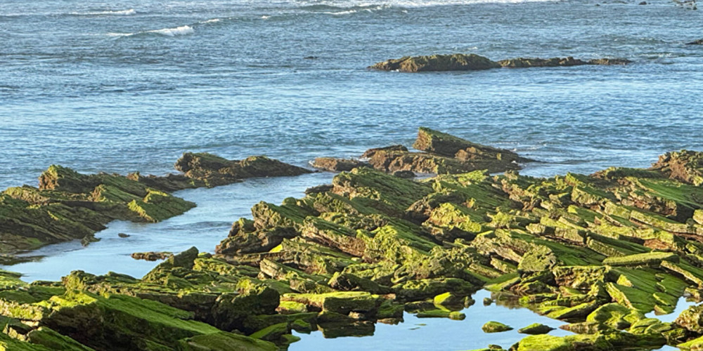 appartement à BIARRITZ (64200)