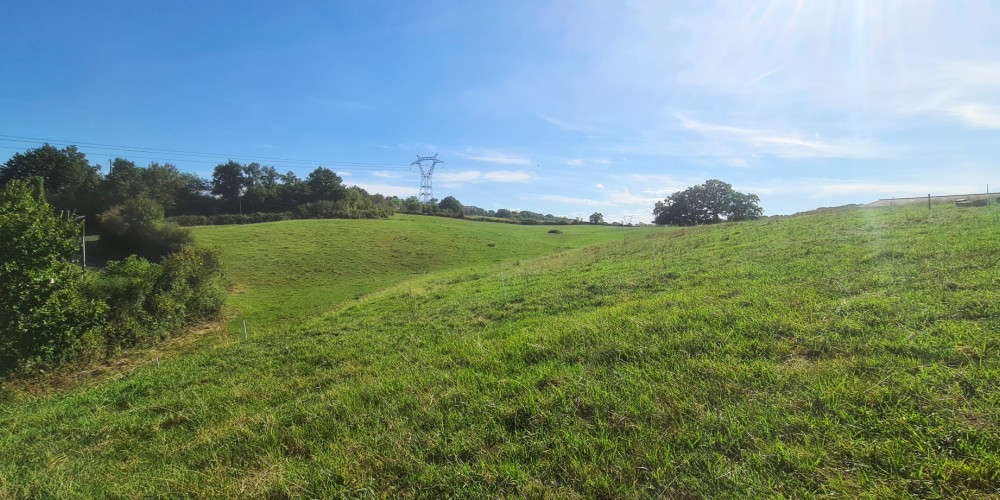 terrain à BRISCOUS (64240)