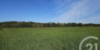terrain à SAULT DE NAVAILLES (64300)