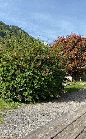 Appartement  BAGNERES DE BIGORRE