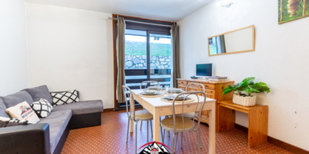 appartement à ST LARY SOULAN (65170)