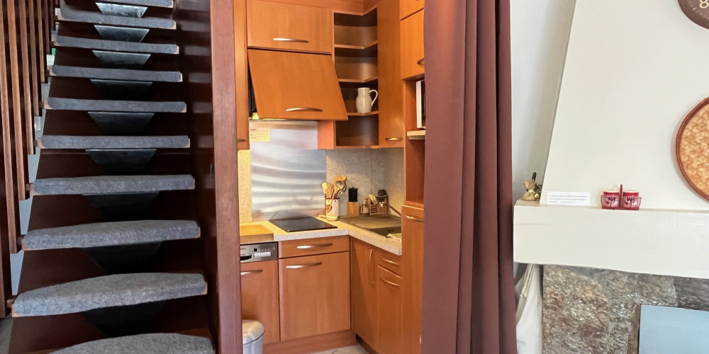 appartement à ST LARY SOULAN (65170)