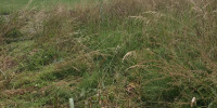 terrain à URRUGNE (64122)