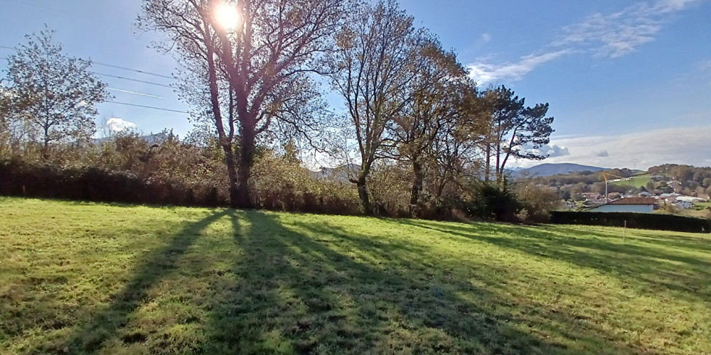 terrain à ASCAIN (64310)