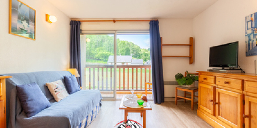 appartement à ST LARY SOULAN (65170)