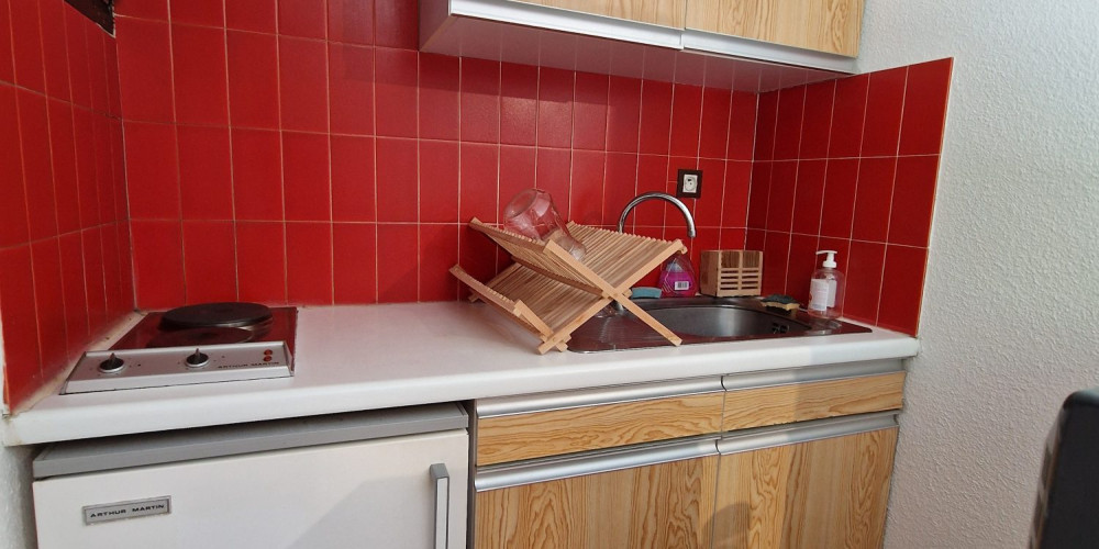 appartement à ST LARY SOULAN (65170)