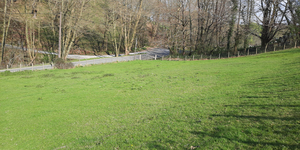 terrain à SARE (64310)