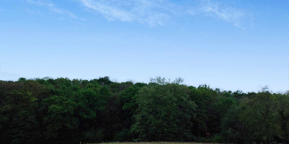 terrain à URCUIT (64990)