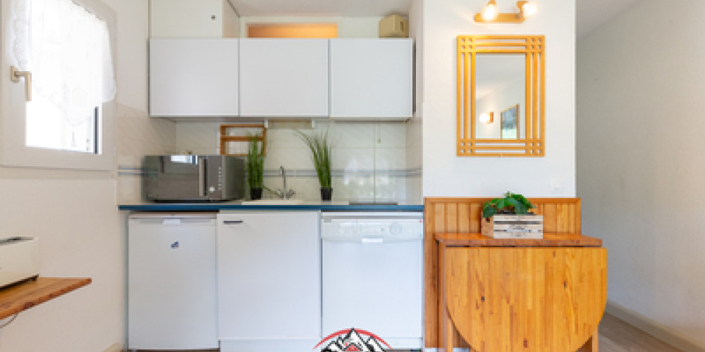 appartement à ST LARY SOULAN (65170)
