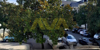 appartement à OLORON STE MARIE (64400)