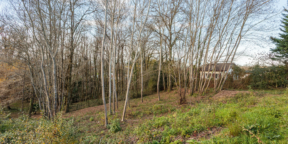 terrain à URCUIT (64990)