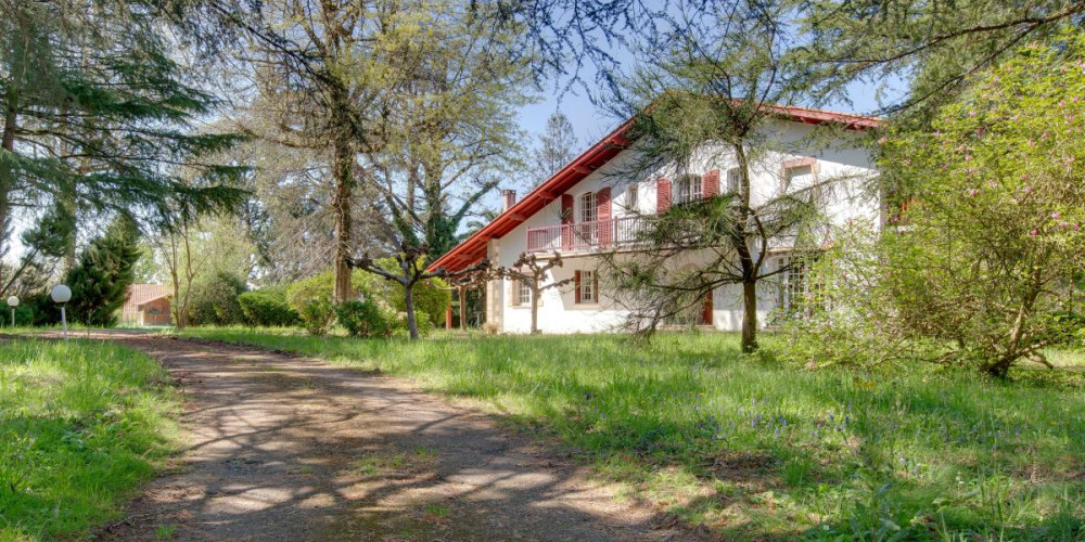 maison à ST PEE SUR NIVELLE (64310)