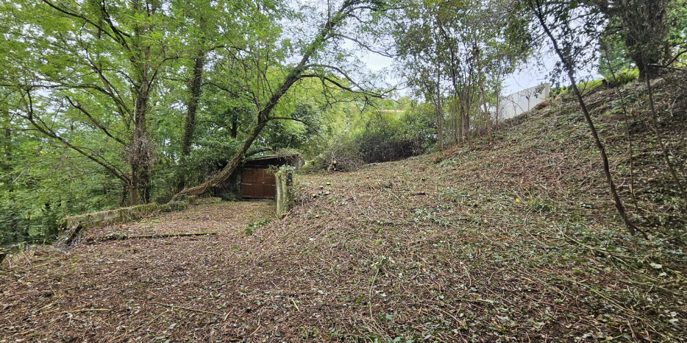 terrain à AINHOA (64250)