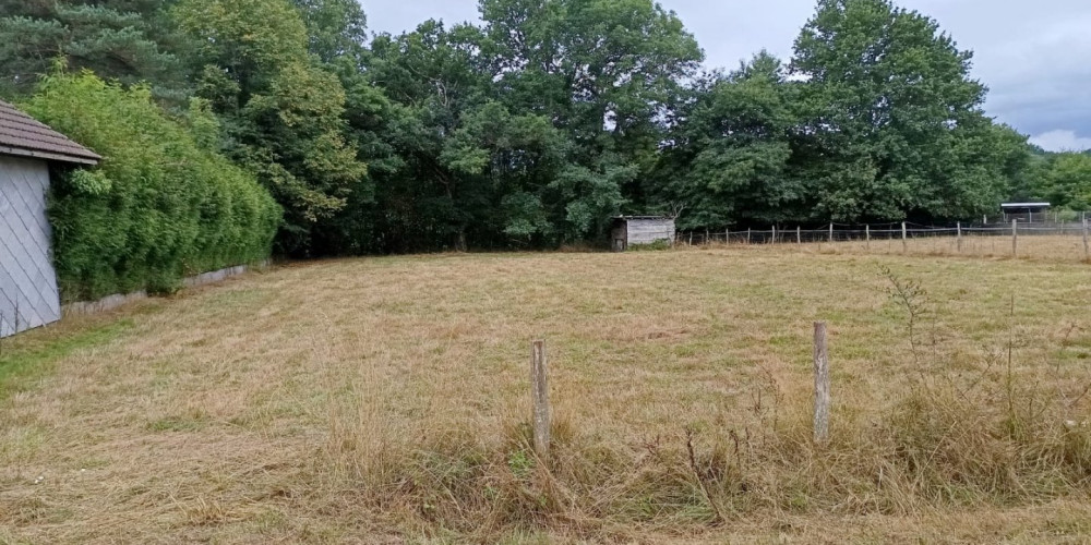 terrain à ST LAURENT DE NESTE (65150)