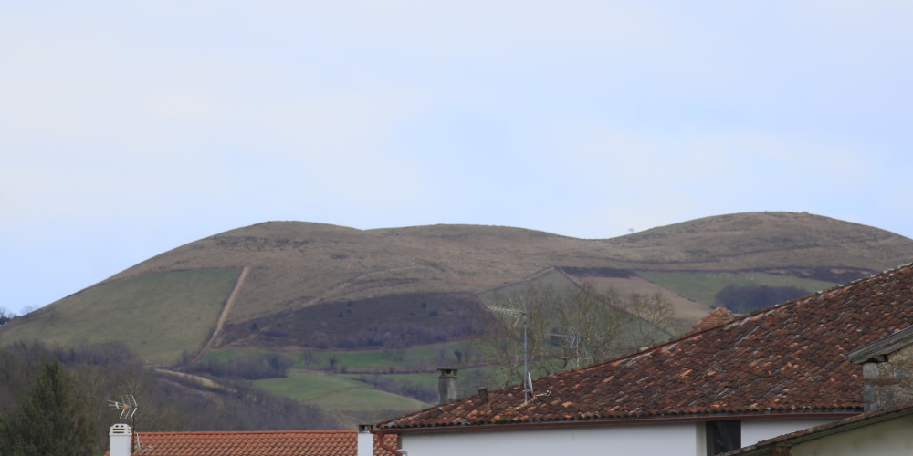 maison à ST JEAN LE VIEUX (64220)