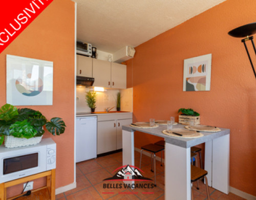 appartement  ST LARY SOULAN