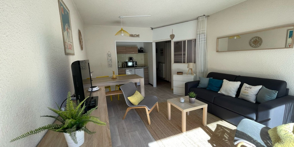 appartement à ST LARY SOULAN (65170)