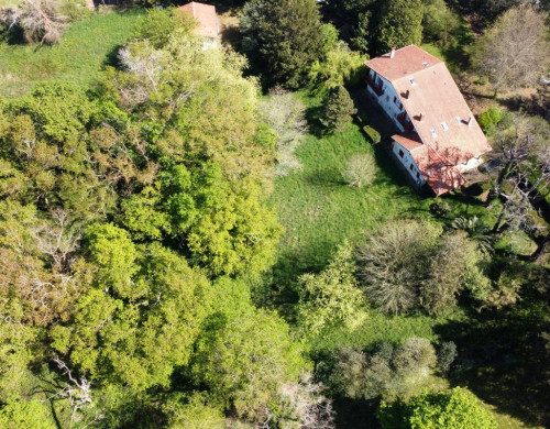 maison  ST PEE SUR NIVELLE
