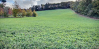 terrain à GARLIN (64330)