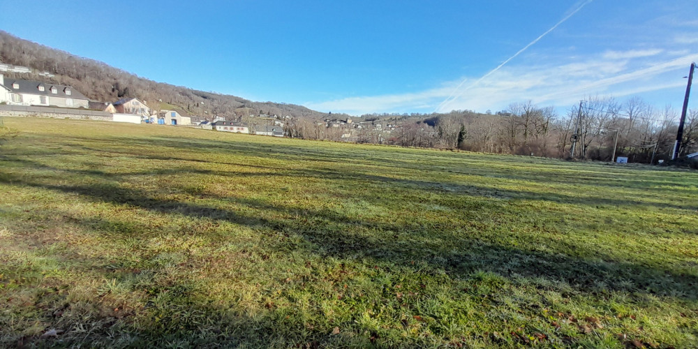 terrain à ST PE DE BIGORRE (65270)
