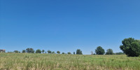 terrain à PUYOO (64270)
