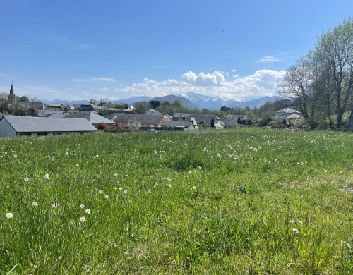 terrain  POUEYFERRE