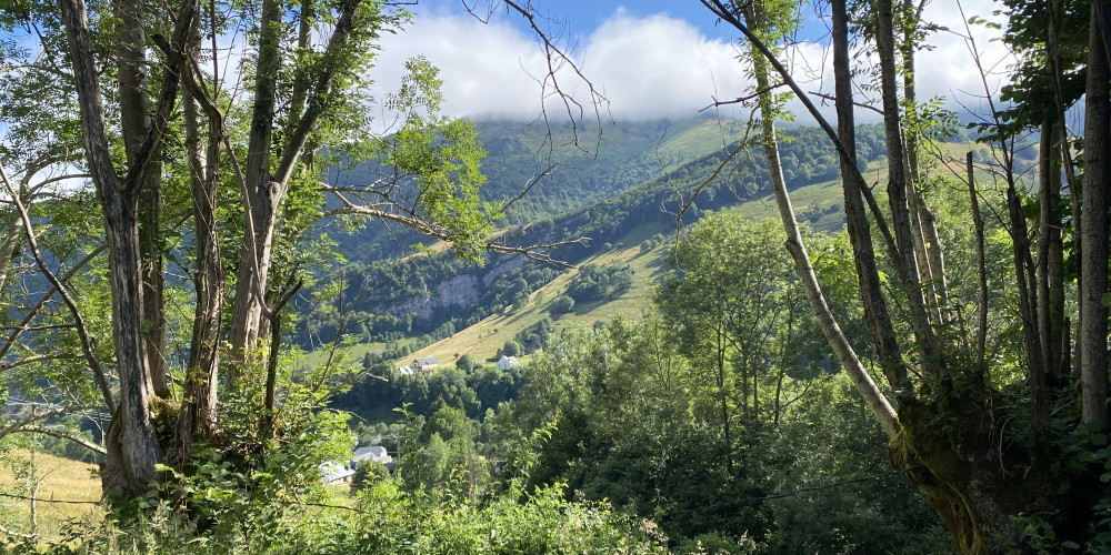 maison à CAMPAN (65710)