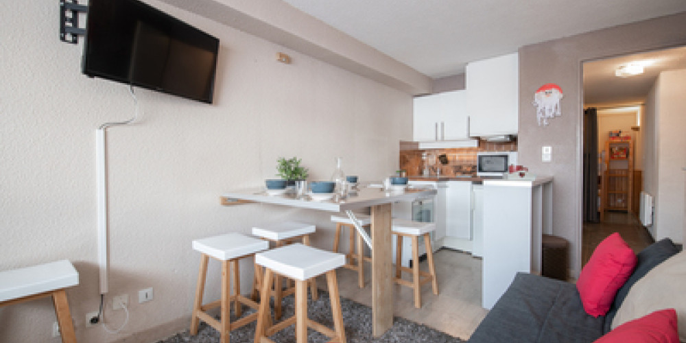 appartement à ST LARY SOULAN (65170)
