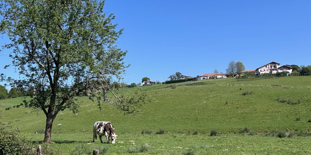 appartement à BARDOS (64520)