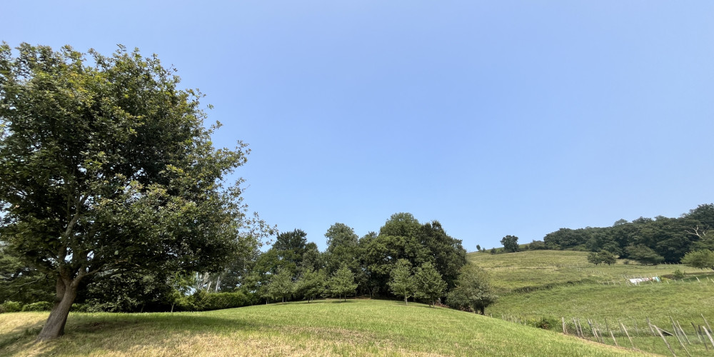 terrain à IRISSARRY (64780)