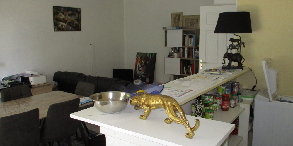 appartement à PAU (64000)
