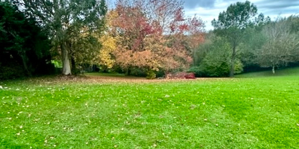 terrain à BRISCOUS (64240)