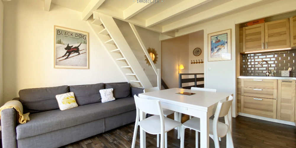 appartement à ST LARY SOULAN (65170)