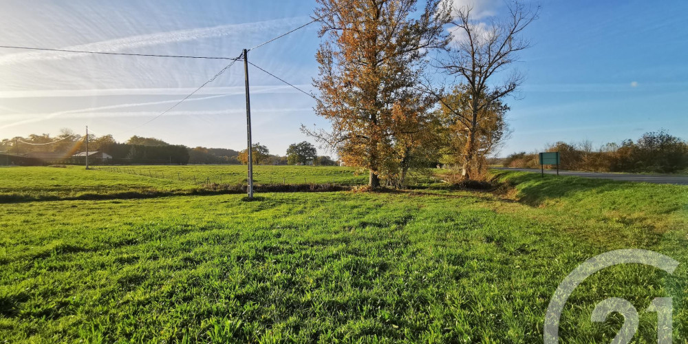 terrain à LACADEE (64300)