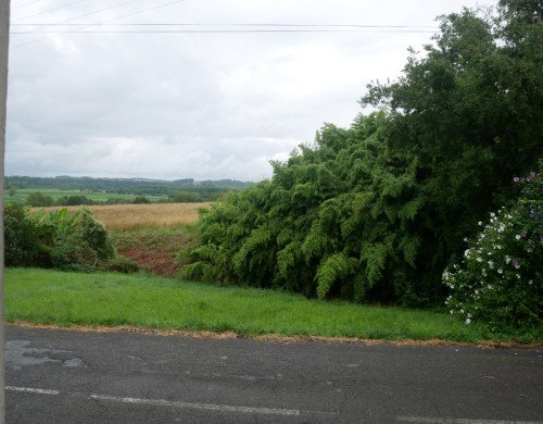 terrain  BIDACHE