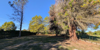 terrain à OLORON STE MARIE (64400)