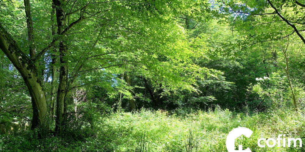 terrain à CASTETIS (64300)