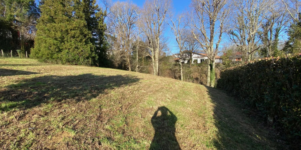 terrain à ASCAIN (64310)