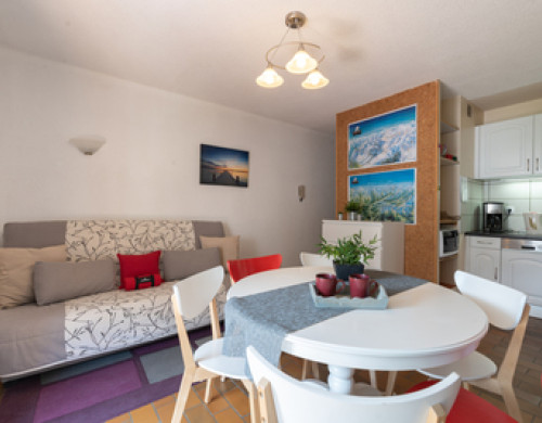appartement  ST LARY SOULAN