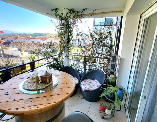 appartement  ST PEE SUR NIVELLE