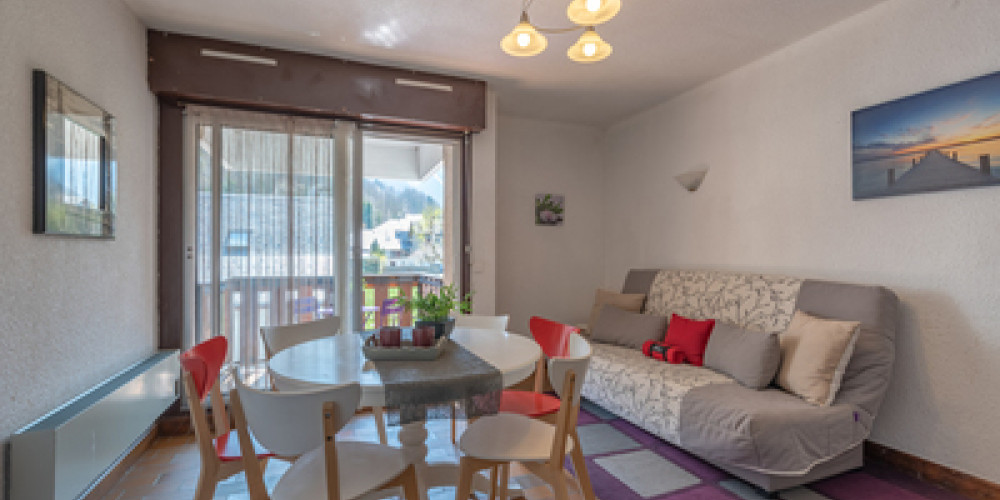 appartement à ST LARY SOULAN (65170)