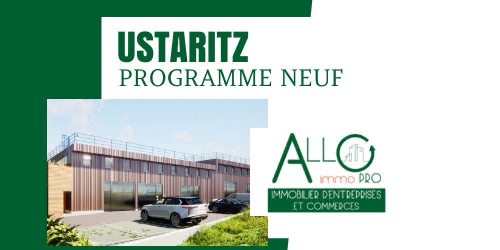 local industriel à USTARITZ (64480)