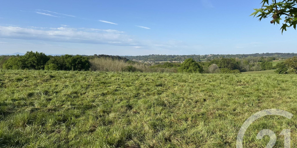 terrain à ORTHEZ (64300)