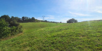 terrain à BRISCOUS (64240)